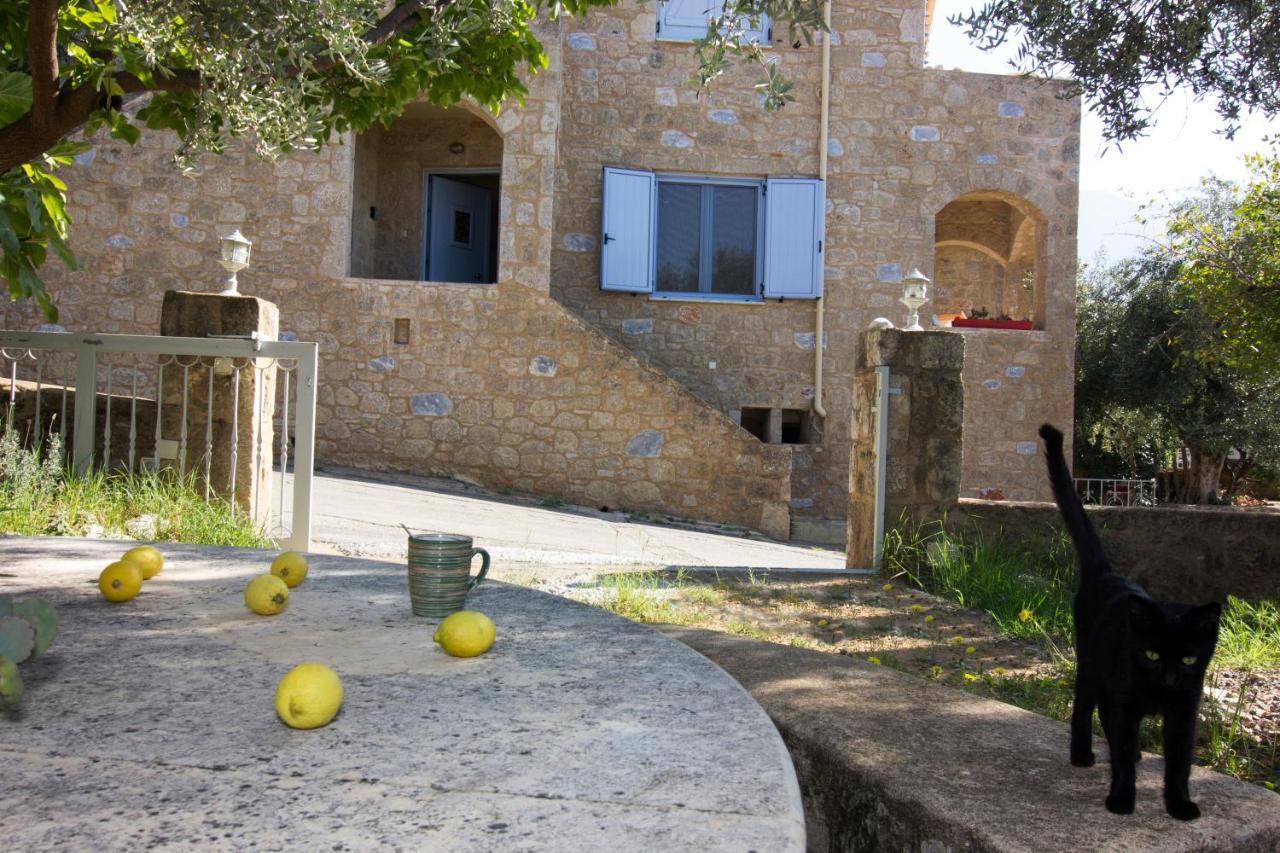 Riglia Orfea'S Place מראה חיצוני תמונה