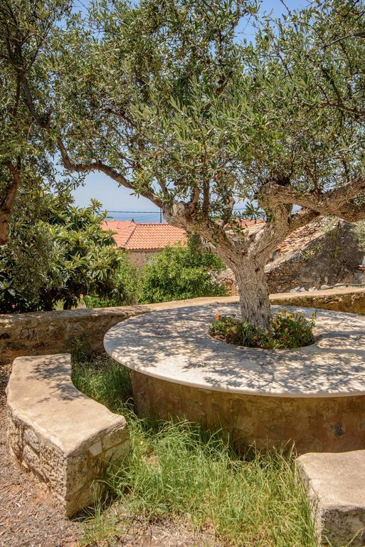 Riglia Orfea'S Place מראה חיצוני תמונה